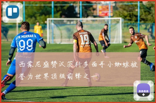 西蒙尼盛赞汉茨科多面手小蜘蛛被誉为世界顶级前锋之一