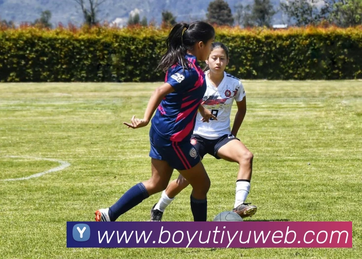 博鱼体育APP 封面图