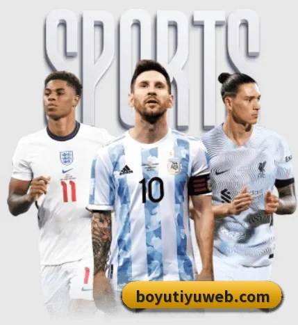 五大服务分区,信息按项目分类 | BOYUSPORTS